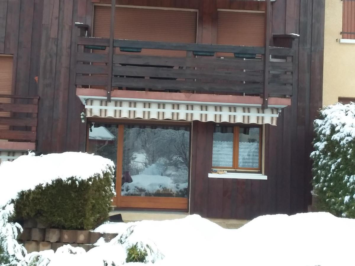 Charmant Duplex De 45M², 2 Chambres, Jardin, Garage, Villard-De-Lans - Fr-1-515-51 エクステリア 写真